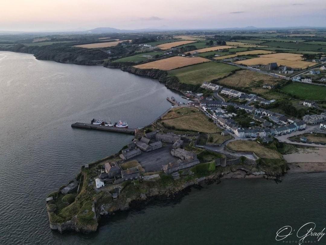 Ballyhack By The Sea Villa Arthurstown Exterior photo