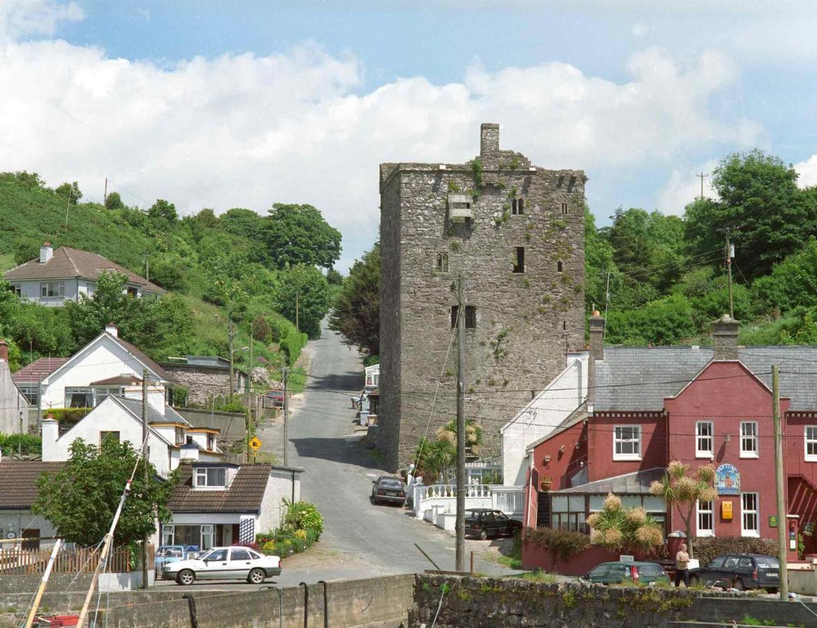 Ballyhack By The Sea Villa Arthurstown Exterior photo